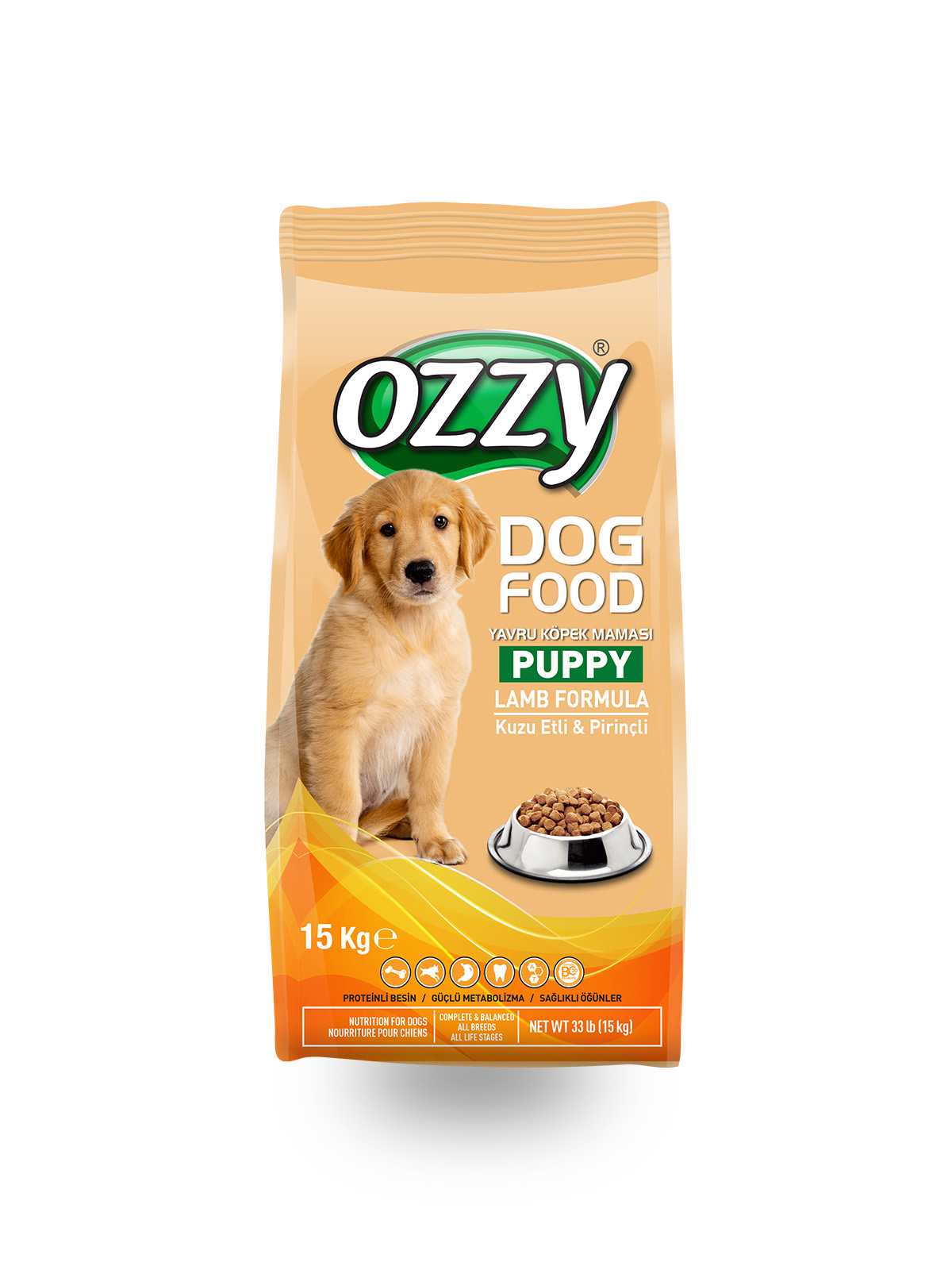 Ozzy5-1.jpg
